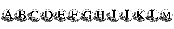 Daisy wedding Font LOWERCASE