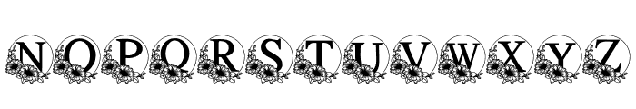 Daisy wedding Font LOWERCASE