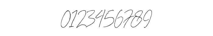 Dallem Signature Font OTHER CHARS