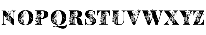 DandelionInside-Regular Font UPPERCASE