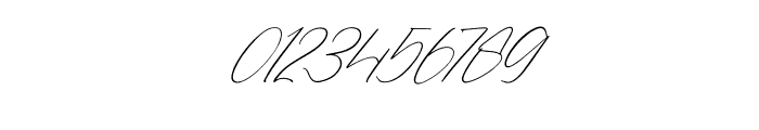 Danymeka Italic Font OTHER CHARS