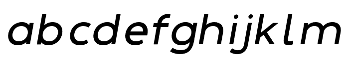 DelRay Italic Bold Font LOWERCASE