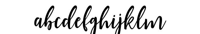 DelightfulScript-Regular Font LOWERCASE