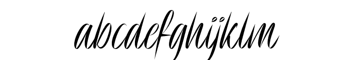 DelionSignature FONT