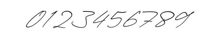 Dellany Signature Italic Font OTHER CHARS