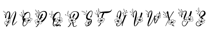 Dellina Monogram Font LOWERCASE