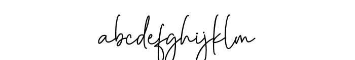 Denira Signature Font LOWERCASE