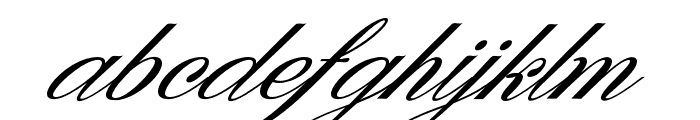 Denita Script Font LOWERCASE