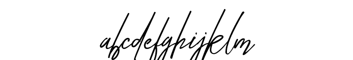 Diandra signature font Regular Font LOWERCASE