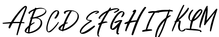 DiendaBrushFont-Regular Font UPPERCASE