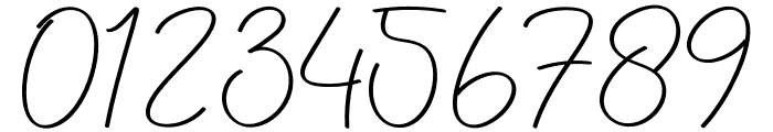 Digital Signature Font OTHER CHARS
