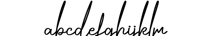Digital Signature Font LOWERCASE