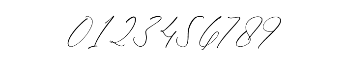 Dilanda Merlinmota Italic Font OTHER CHARS