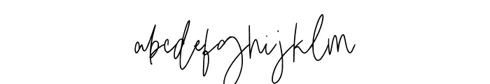 DirallieSignature-Regular Font LOWERCASE