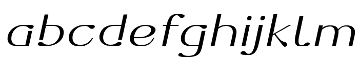 Dofend-LightSlanted Font LOWERCASE