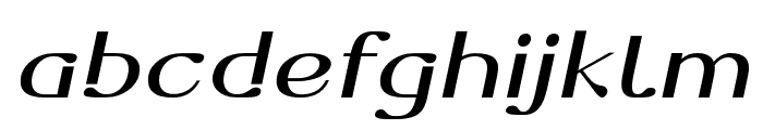 Dofend-MediumSlanted Font LOWERCASE