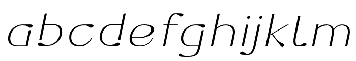 Dofend-ThinSlanted Font LOWERCASE
