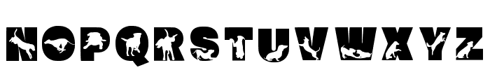 Dog Regular Font UPPERCASE