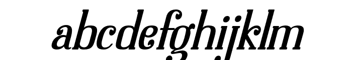 Dolphins-Italic Font LOWERCASE