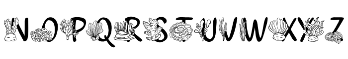 Doodle  Coral Font UPPERCASE