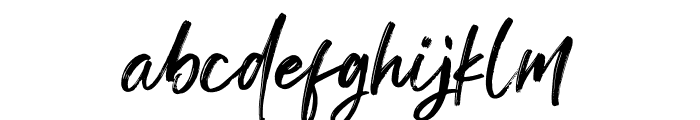 DoughtyBrush Font LOWERCASE