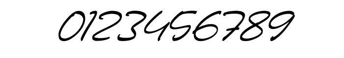Driscutty Signature Italic Font OTHER CHARS