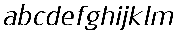 ENTSHA Italic Font LOWERCASE