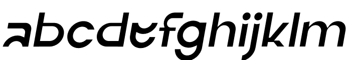 ERF Neot Italic FONT