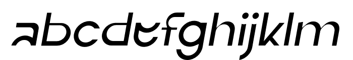ERF Neot Light Italic FONT