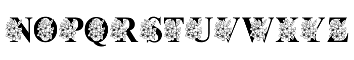 Easter Floral Monogram Font LOWERCASE