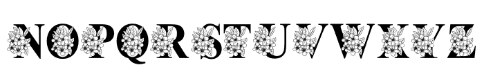 EasterFloralMonogram Font LOWERCASE