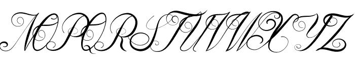 Elegant  Script Font UPPERCASE