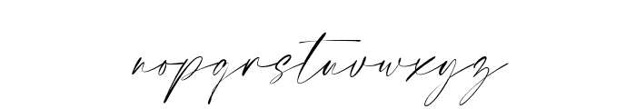 Elegant Signature Slant Font LOWERCASE