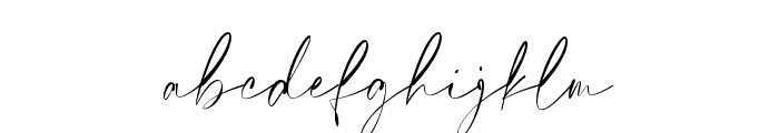 Elegant Signature Font LOWERCASE