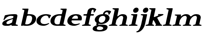 Elkoga Medium Italic Font LOWERCASE