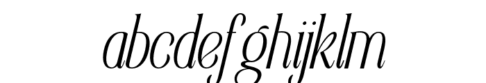 Elsain Extra Light Italic Font LOWERCASE