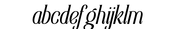 Elsain Light Italic Font LOWERCASE