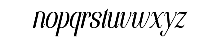 Elsain Light Italic Font LOWERCASE