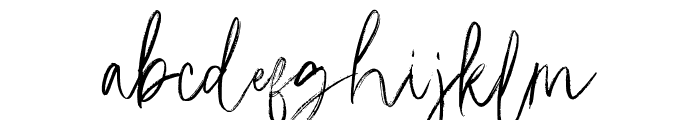 EmoraySignatureBrush-Regular Font LOWERCASE