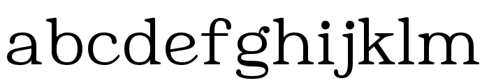 Endlants-Light Font LOWERCASE