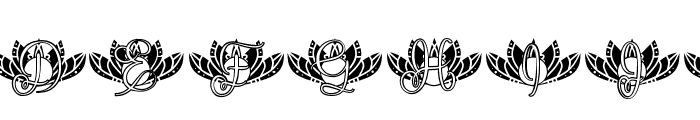 Energy Lotus Mandala Monogram Font LOWERCASE