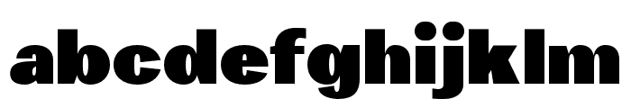 Erakoni Regular Font LOWERCASE