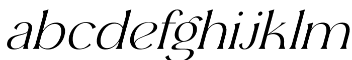 Ergisa Italic Font LOWERCASE