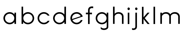 Erigo Light Font LOWERCASE