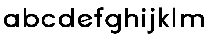 Erigo Medium Font LOWERCASE