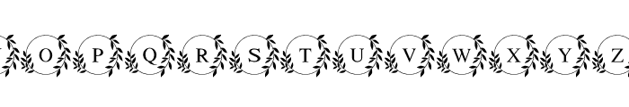 Eterna Leaf Monogram Font UPPERCASE