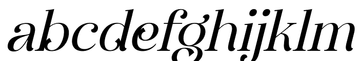 Everlast Roman Serif Italic Font LOWERCASE