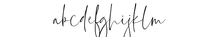 Everleigh Signature Script Reg Font LOWERCASE