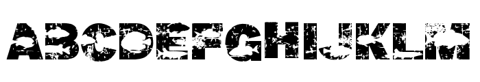 FISH FIGHTER Font UPPERCASE