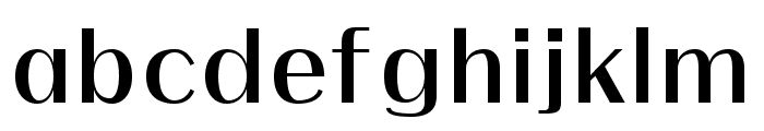 FLEIM Regular Font LOWERCASE